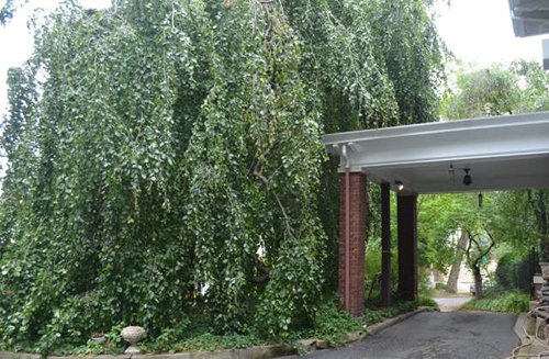 Property photo 27 - Historic Beechwood Circle Mansion